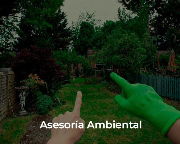 Asesoria ambiental Impact Green