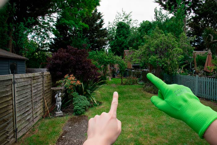 Servicio Asesoría Ambiental