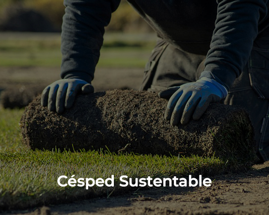 Césped Sustentable Impact Green