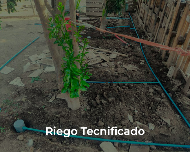Riego Tecnificado Impact Green
