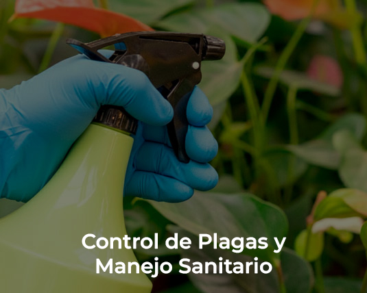 Control de Plagas y Manejo Sanitario Impact Green