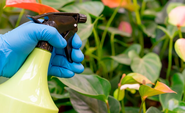 Servicio Control de Plagas y Manejo Sanitario